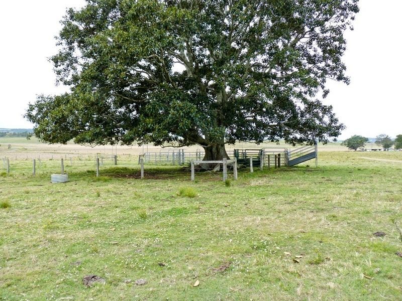 1 Auckram Road, Mckees Hill NSW 2480