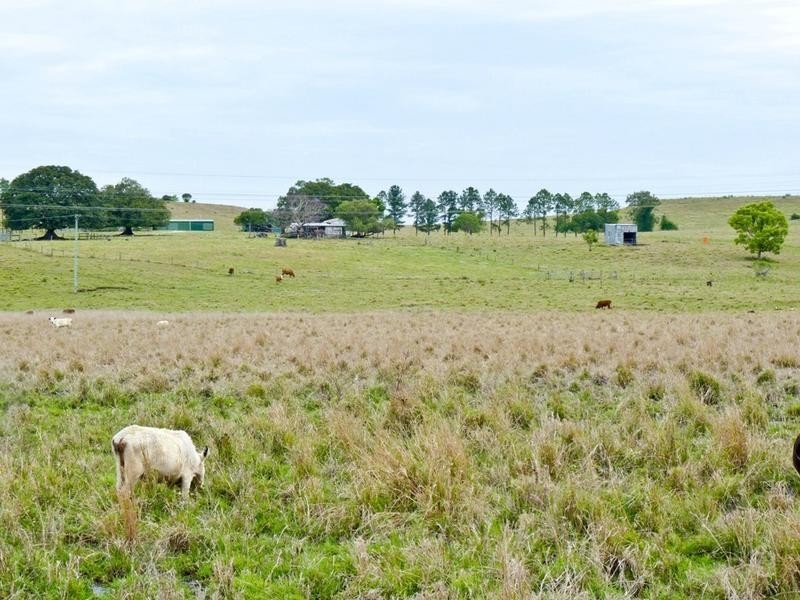 1 Auckram Road, Mckees Hill NSW 2480