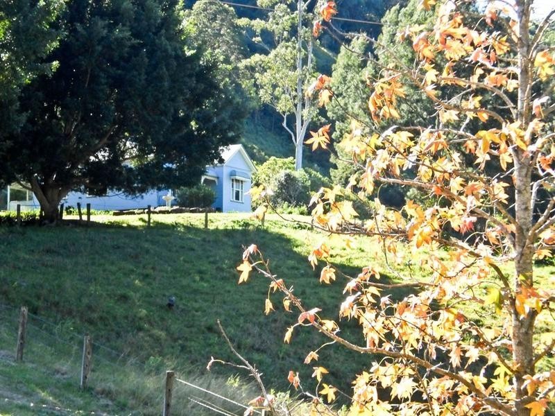 116 Bice Road, Leycester NSW 2480