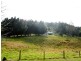 116 Bice Road, Leycester NSW 2480
