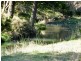 116 Bice Road, Leycester NSW 2480