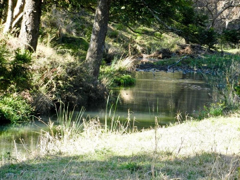 116 Bice Road, Leycester NSW 2480