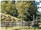 116 Bice Road, Leycester NSW 2480