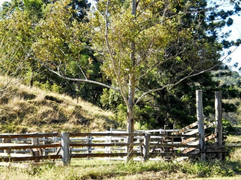 116 Bice Road, Leycester NSW 2480