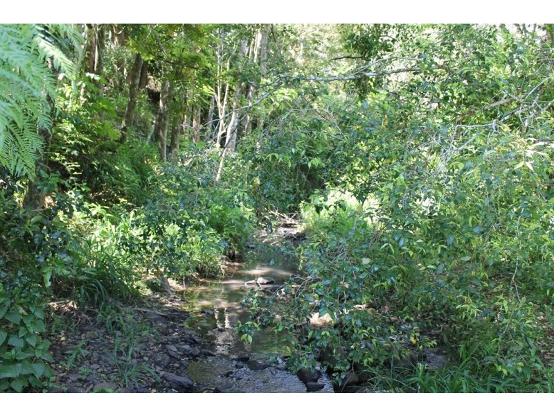 Lot 1-12, 156 Gungas Road, Nimbin NSW 2480