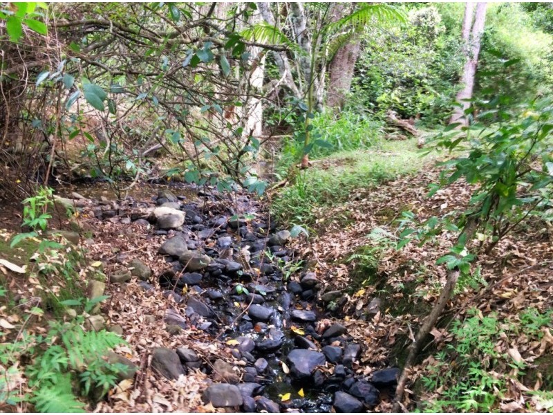 Lot 1-12, 156 Gungas Road, Nimbin NSW 2480