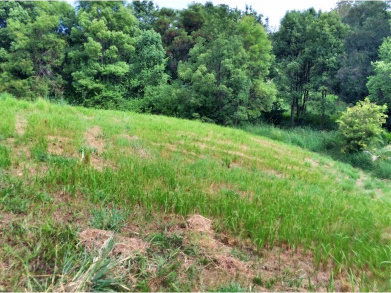 Lot 1-12, 156 Gungas Road, Nimbin NSW 2480