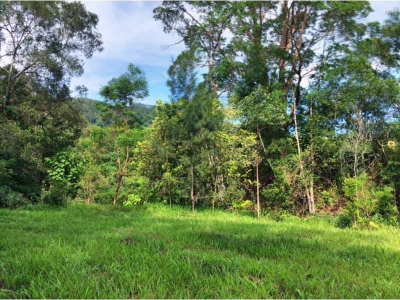 Lot 1-12, 156 Gungas Road, Nimbin NSW 2480