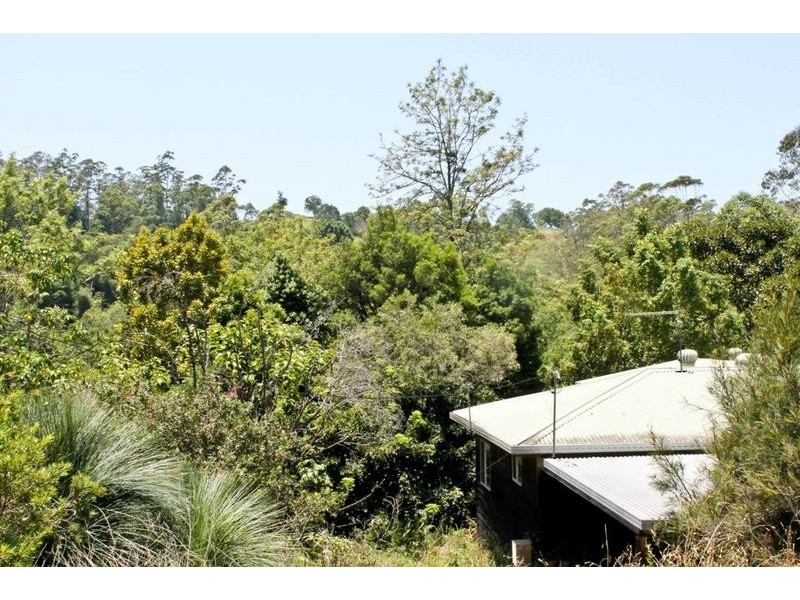 100 Moras Road, Rock Valley NSW 2480