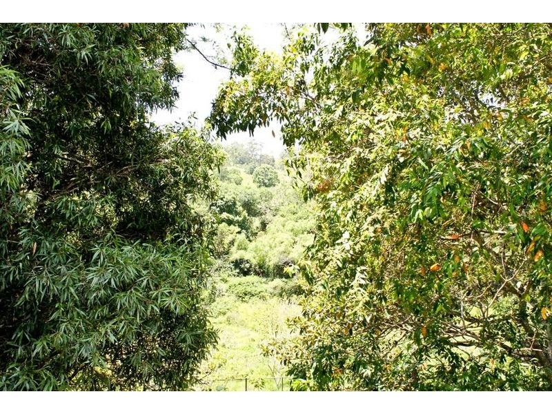 100 Moras Road, Rock Valley NSW 2480