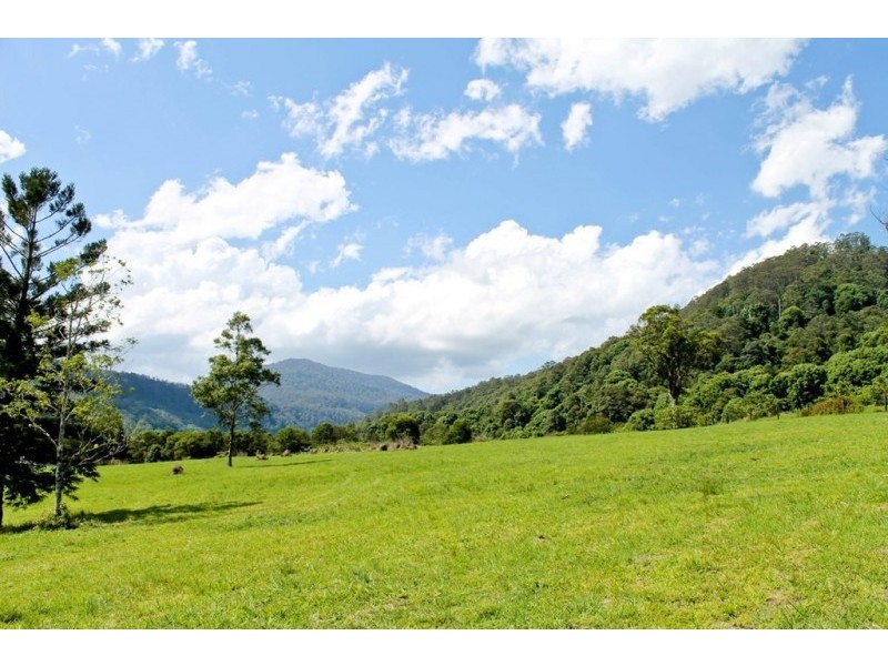 198 &228 Gungas Road, Nimbin NSW 2480