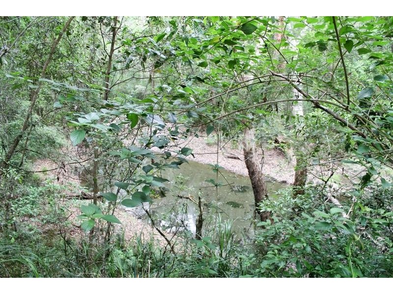 Bungawalbin-Whiporie Road, Gibberagee NSW 2469