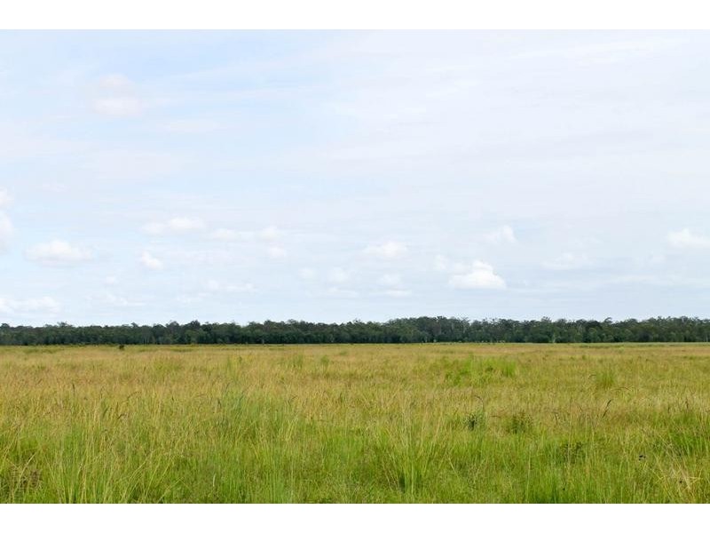 1190 Bungawalbin Whiporie Road, Bungawalbin NSW 2469