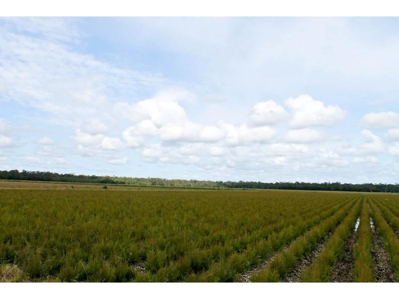 1190 Bungawalbin Whiporie Road, Bungawalbin NSW 2469