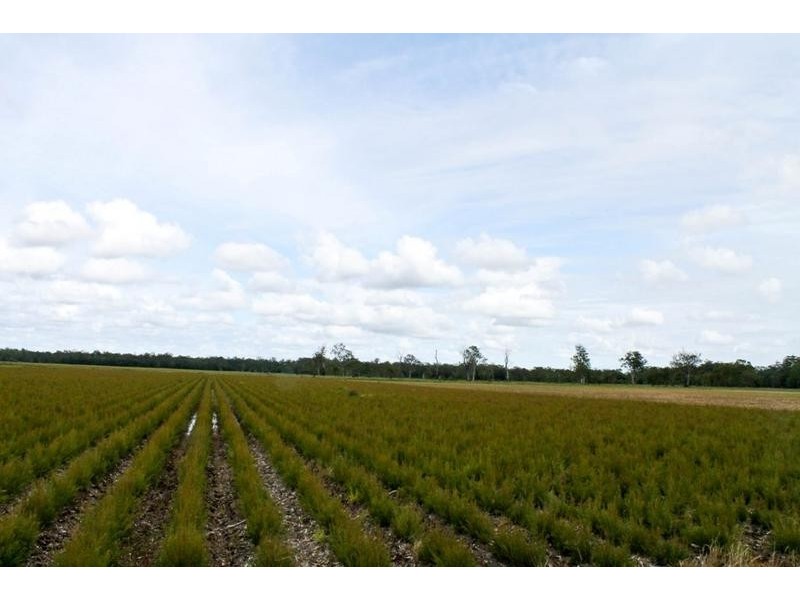 1190 Bungawalbin Whiporie Road, Bungawalbin NSW 2469