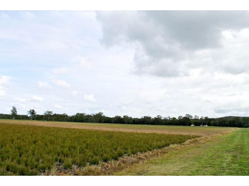 1190 Bungawalbin Whiporie Road, Bungawalbin NSW 2469