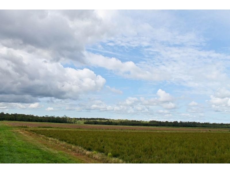 1190 Bungawalbin Whiporie Road, Bungawalbin NSW 2469