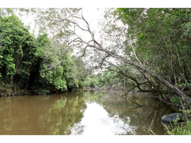 1190 Bungawalbin Whiporie Road, Bungawalbin NSW 2469