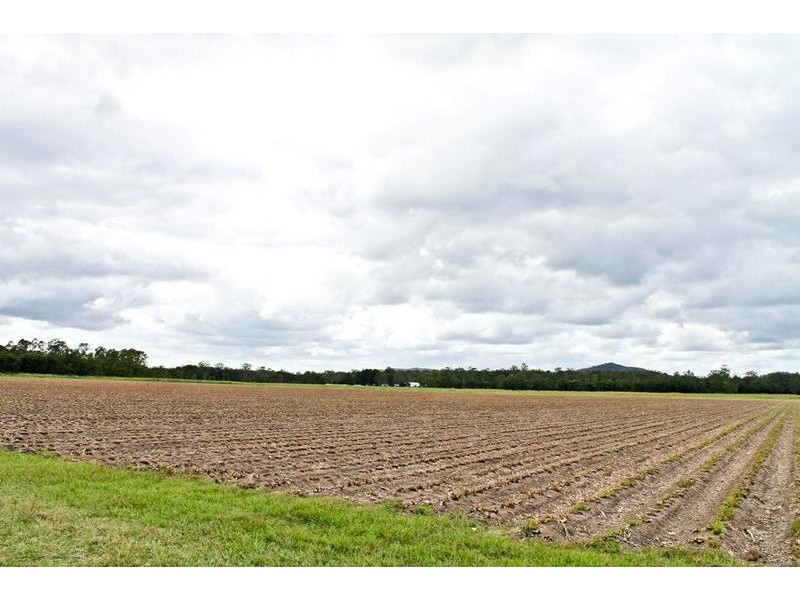 1190 Bungawalbin Whiporie Road, Bungawalbin NSW 2469