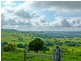206 Cross Road, Numulgi NSW 2480