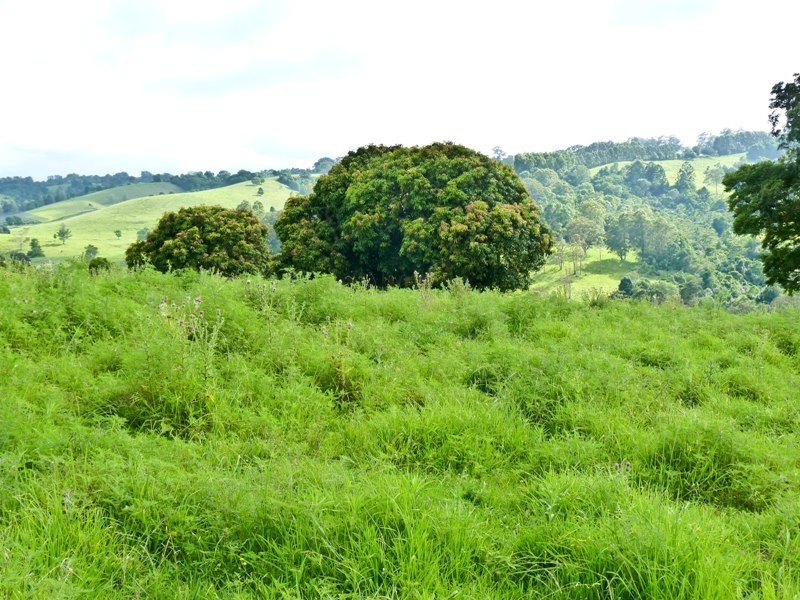206 Cross Road, Numulgi NSW 2480