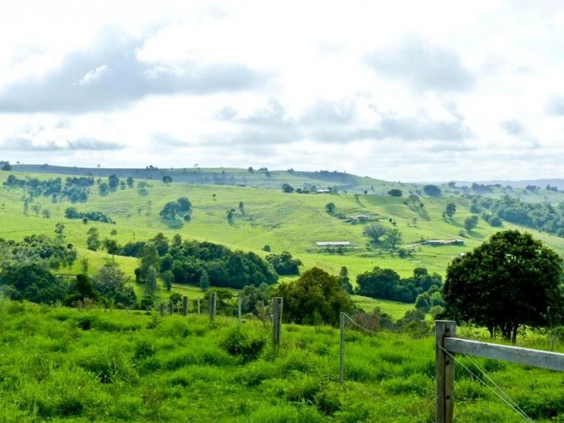 206 Cross Road, Numulgi NSW 2480