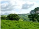 206 Cross Road, Numulgi NSW 2480