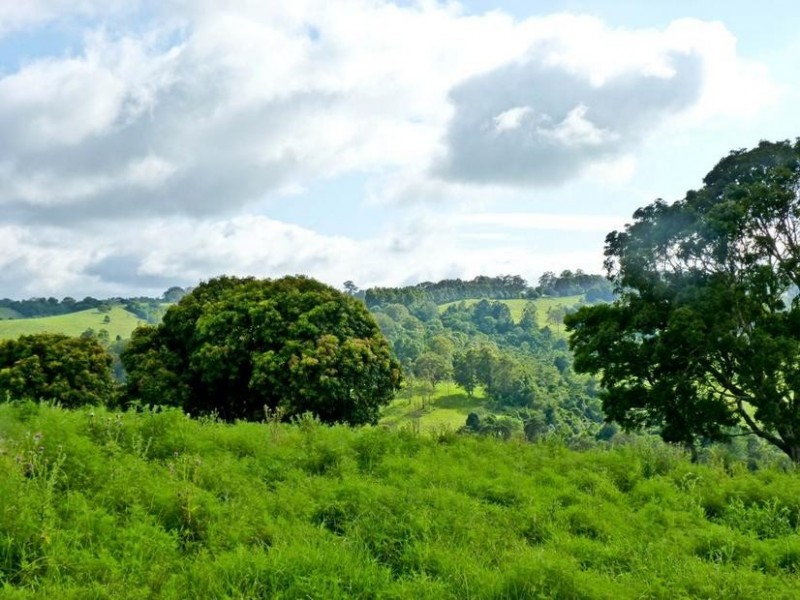 206 Cross Road, Numulgi NSW 2480