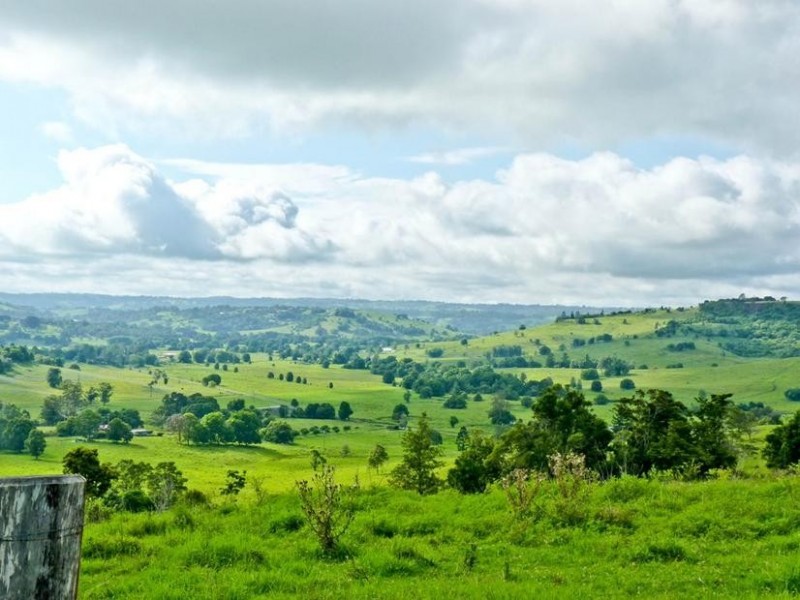 206 Cross Road, Numulgi NSW 2480