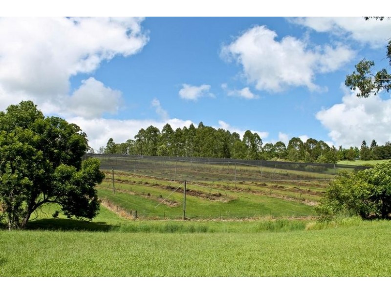 209 Billen Road, Georgica NSW 2480