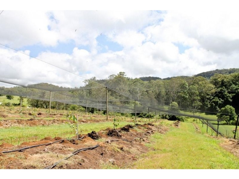 209 Billen Road, Georgica NSW 2480