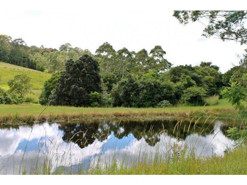 209 Billen Road, Georgica NSW 2480