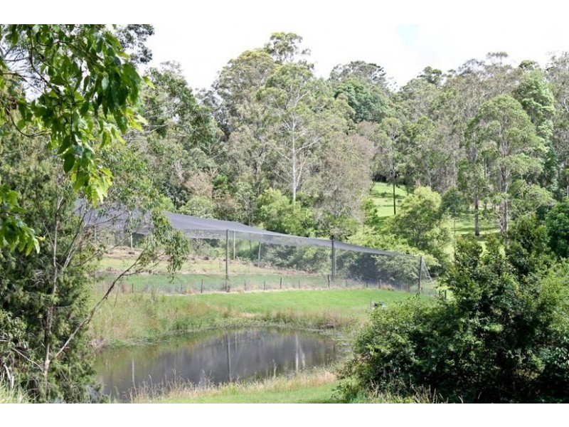 209 Billen Road, Georgica NSW 2480