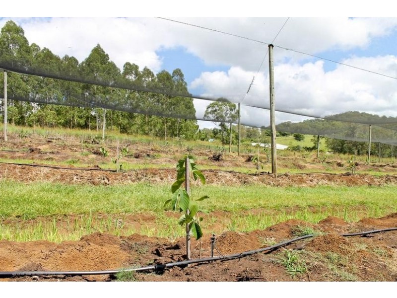 209 Billen Road, Georgica NSW 2480