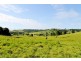98 Cross Road, Numulgi NSW 2480