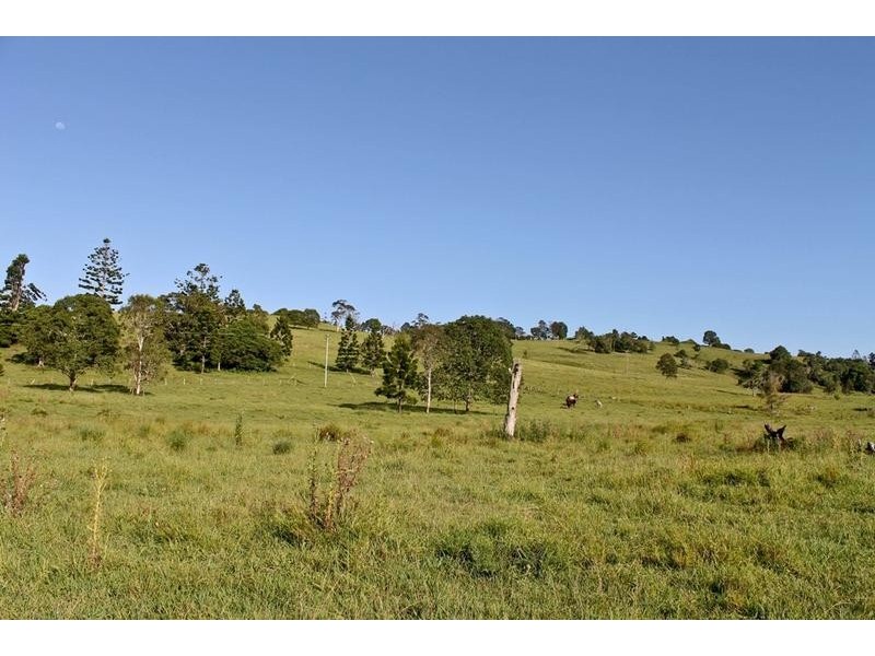 98 Cross Road, Numulgi NSW 2480
