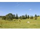 98 Cross Road, Numulgi NSW 2480