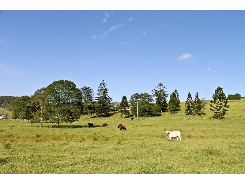 98 Cross Road, Numulgi NSW 2480