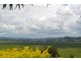 238 Caniaba Road, Caniaba NSW 2480