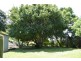 238 Caniaba Road, Caniaba NSW 2480
