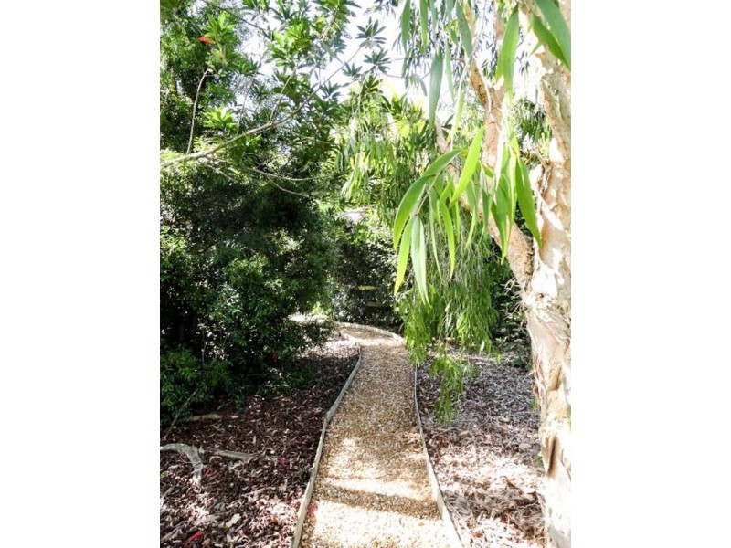 482 Afterlee Road, Kyogle NSW 2474