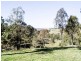 482 Afterlee Road, Kyogle NSW 2474