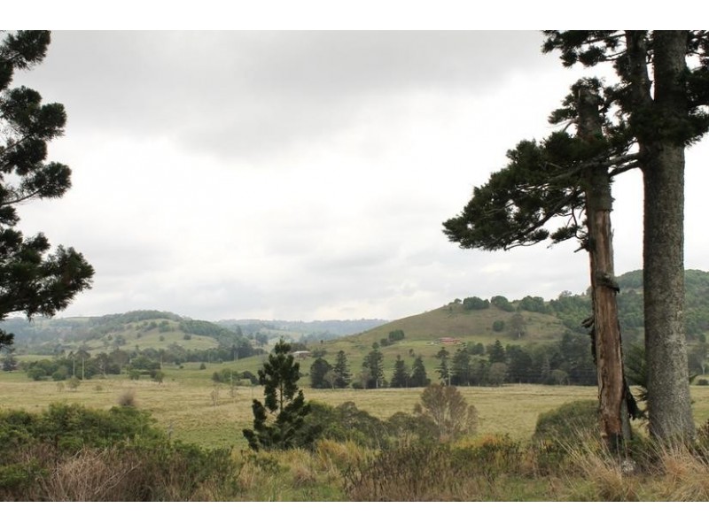 Booerie Creek NSW 2480