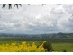 238 Caniaba Road, Caniaba NSW 2480