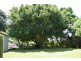 238 Caniaba Road, Caniaba NSW 2480