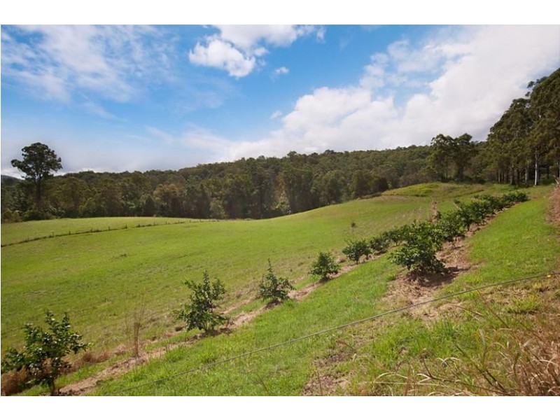 274 Chelmsford Road, Rock Valley NSW 2480