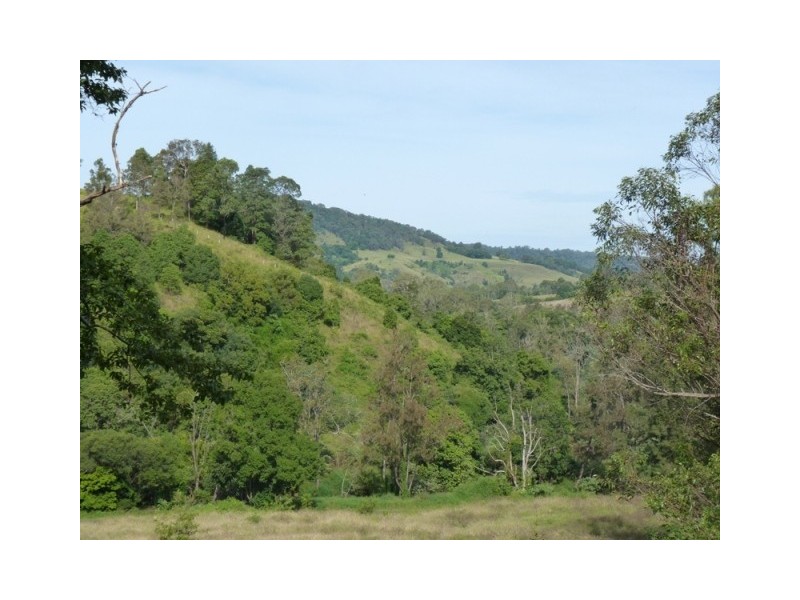 1267 Jiggi Road, Georgica NSW 2480