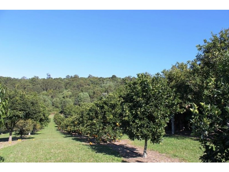 88 Tuckurimba Road, Tuckurimba NSW 2480