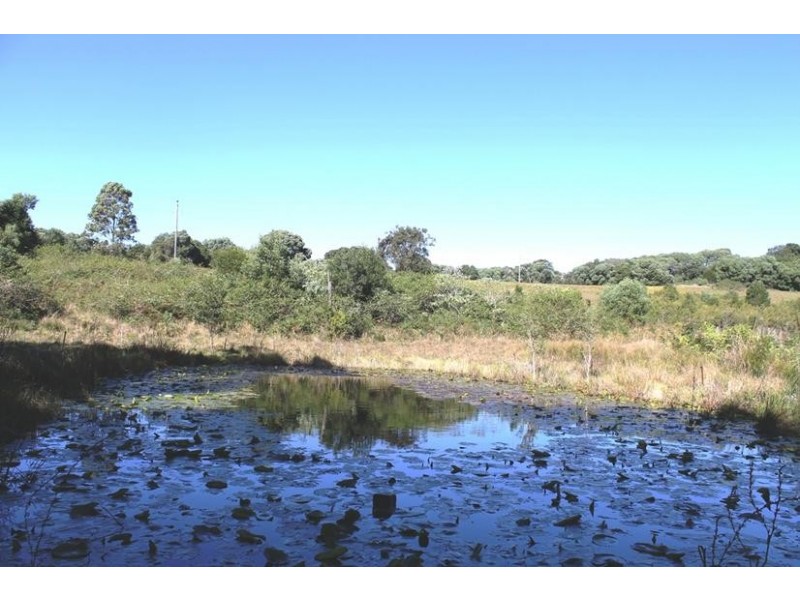 88 Tuckurimba Road, Tuckurimba NSW 2480