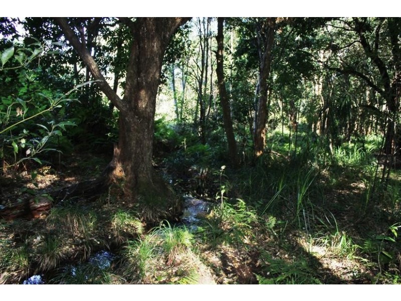 88 Tuckurimba Road, Tuckurimba NSW 2480